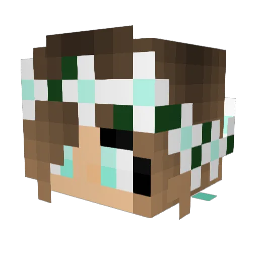 Ray_ray9122 Minecraft avatar head, 3D render