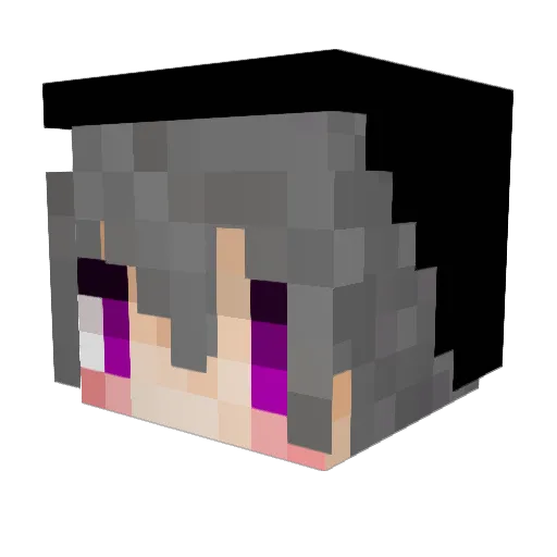 Ray_ray_casino Minecraft avatar head, 3D render