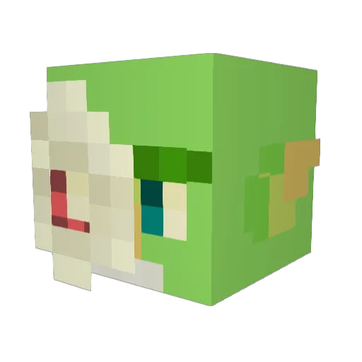 RayaDeCoca Minecraft avatar head, 3D render