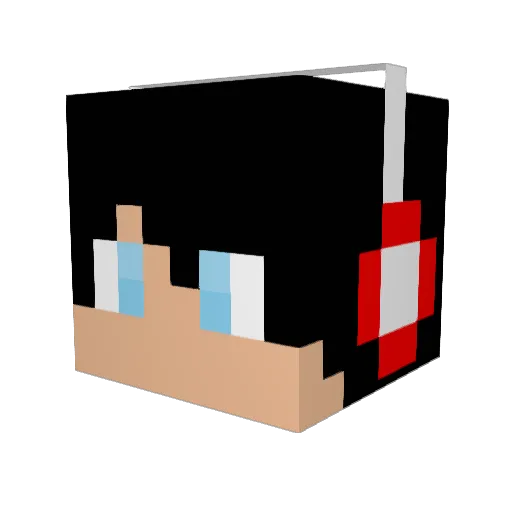 RayanBTW Minecraft avatar head, 3D render