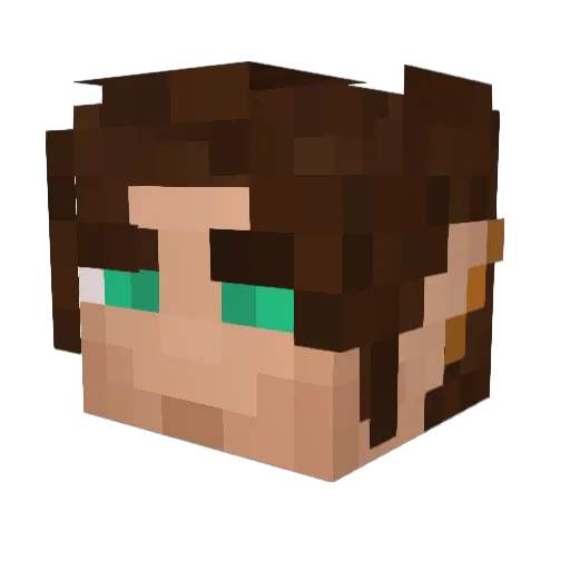 RayanM__ Minecraft avatar head, 3D render