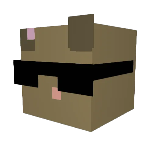 Rayanking2015 Minecraft avatar head, 3D render