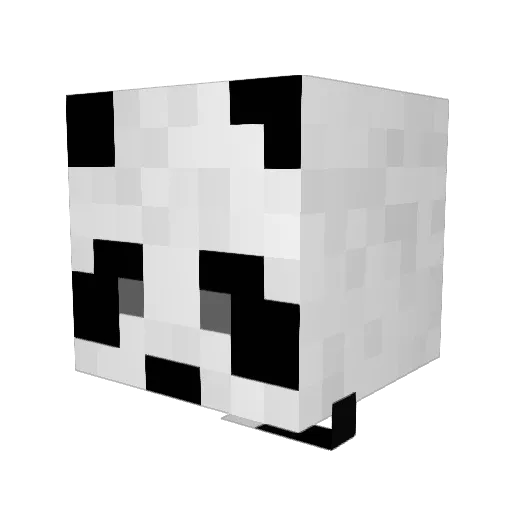 Rayanne_ Minecraft avatar head, 3D render
