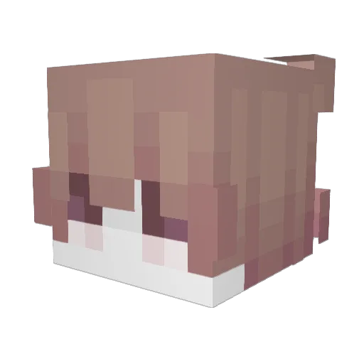 Rayb936 Minecraft avatar head, 3D render