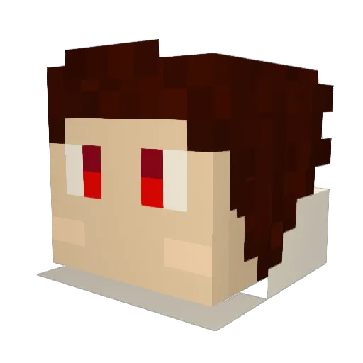 Raybo712 Minecraft avatar head, 3D render