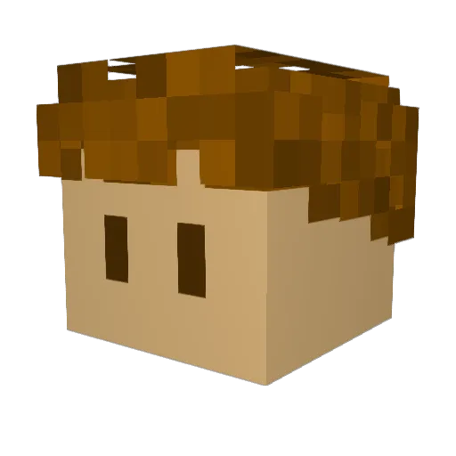 Raybot06 Minecraft avatar head, 3D render