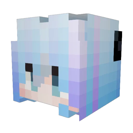 Raych123 Minecraft avatar head, 3D render