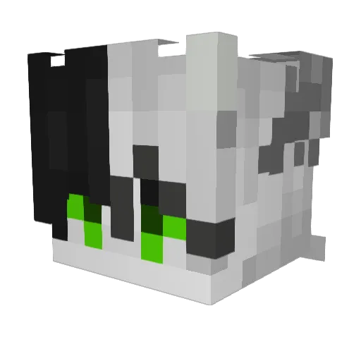 Raychel07 Minecraft avatar head, 3D render