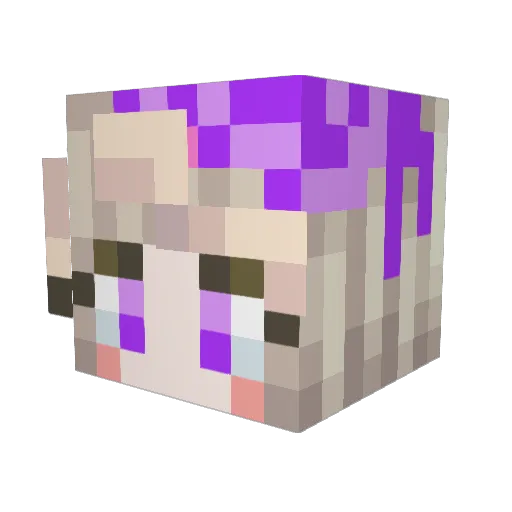 Raycherry0205 Minecraft avatar head, 3D render