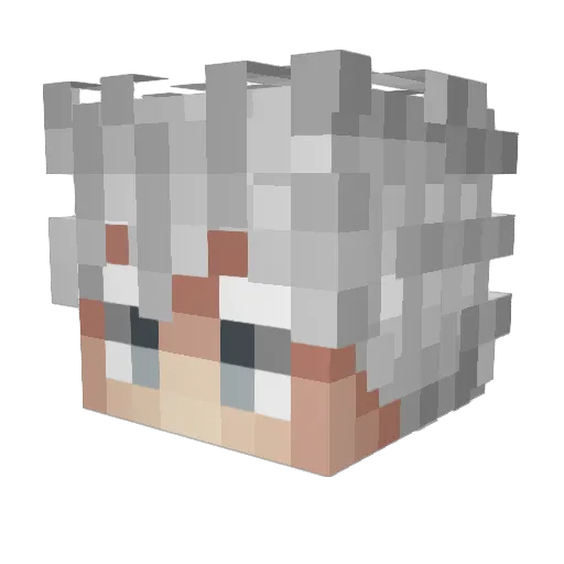 Rayck77 Minecraft avatar head, 3D render