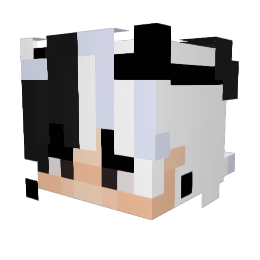 Rayden0012 Minecraft avatar head, 3D render