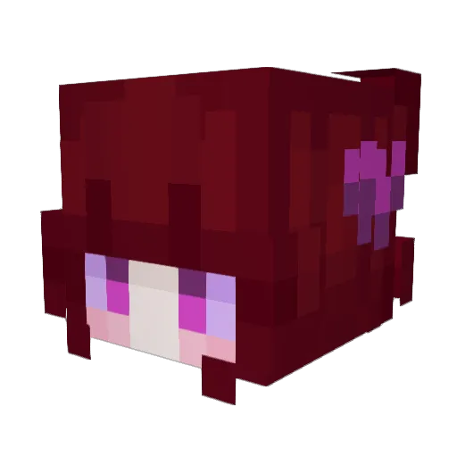 RaydenNBT_ Minecraft avatar head, 3D render