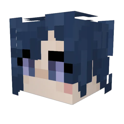 Raydi_3 Minecraft avatar head, 3D render