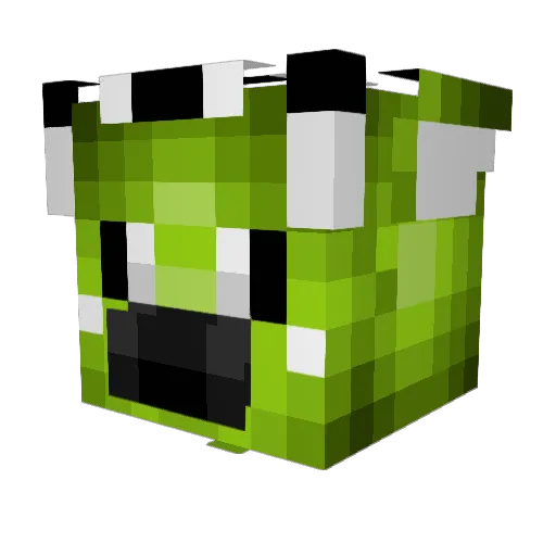 Raydric_Drak Minecraft avatar head, 3D render