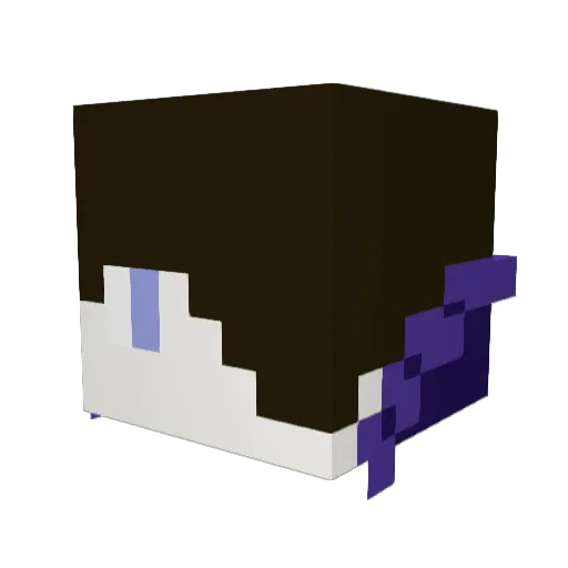 Rayeeee1234 Minecraft avatar head, 3D render