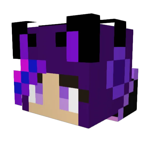 Rayell05 Minecraft avatar head, 3D render