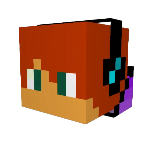 Rayenz Minecraft avatar head, 3D render