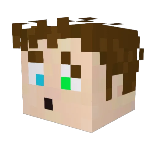 Rayer_ Minecraft avatar head, 3D render