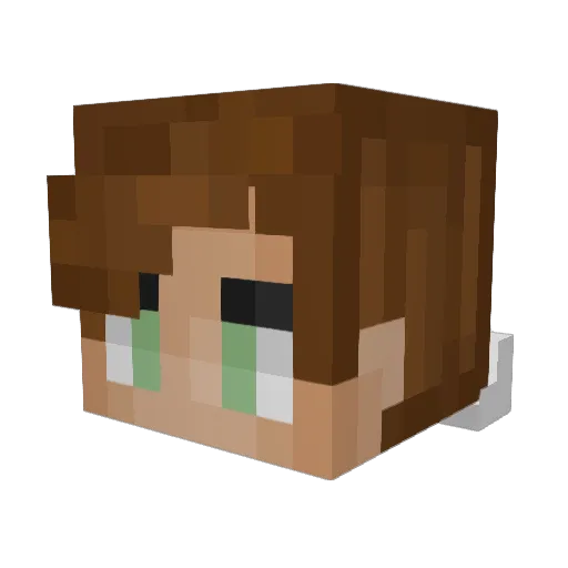 Rayfordo Minecraft avatar head, 3D render