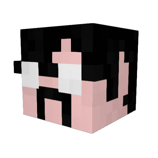 Rayhole Minecraft avatar head, 3D render