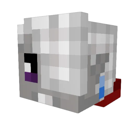 Rayisconfused Minecraft avatar head, 3D render