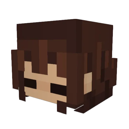 Rayiscool1234 Minecraft avatar head, 3D render
