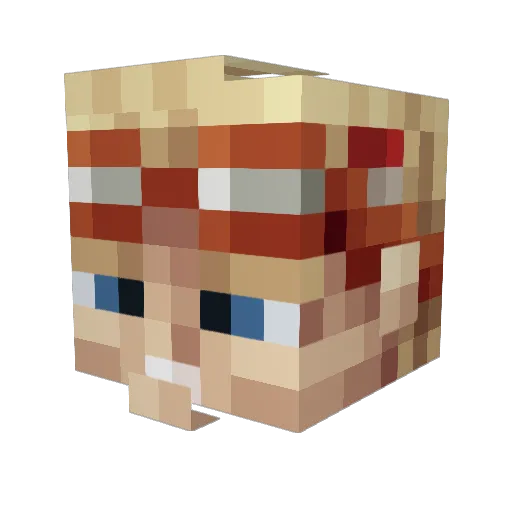 Rayjin99 Minecraft avatar head, 3D render