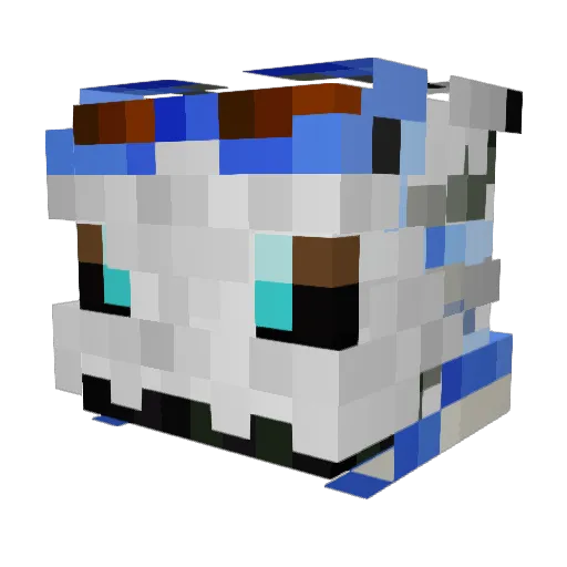 RaykkonnSol Minecraft avatar head, 3D render