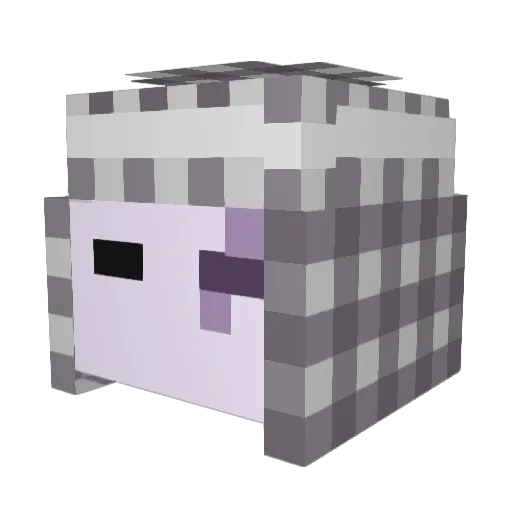 Raykzy Minecraft avatar head, 3D render