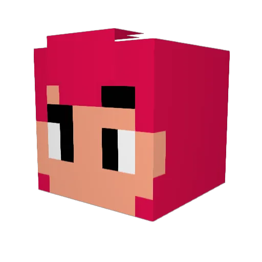 Raylee64 Minecraft avatar head, 3D render