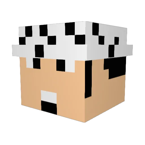 Rayleigh22 Minecraft avatar head, 3D render