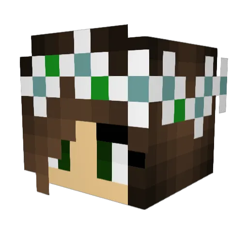 Rayleighxyz Minecraft avatar head, 3D render