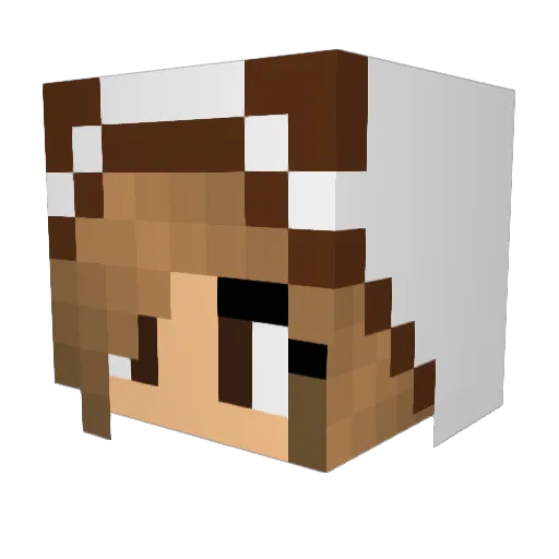 Raylinn16 Minecraft avatar head, 3D render