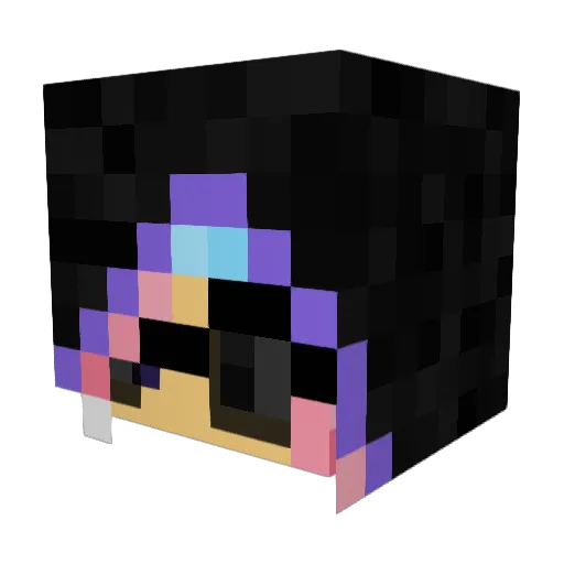 RaylnTale Minecraft avatar head, 3D render