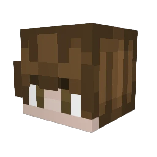 Raymond806 Minecraft avatar head, 3D render