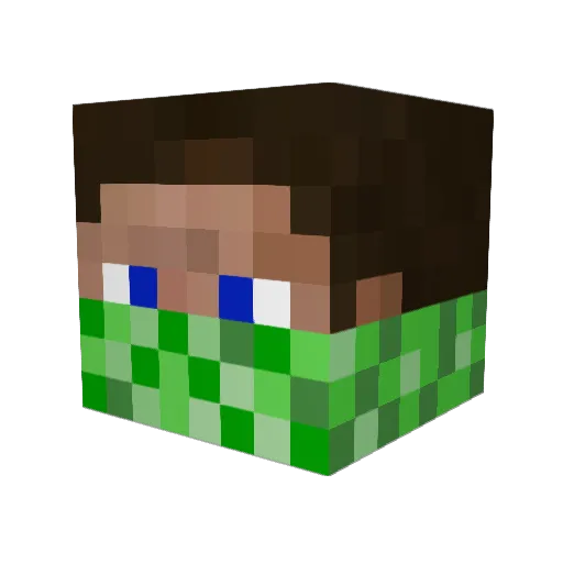 Raymond_Spider Minecraft avatar head, 3D render