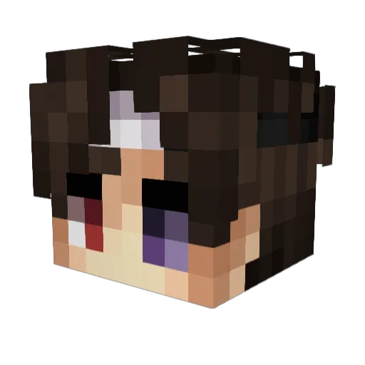 Rayn1I Minecraft avatar head, 3D render