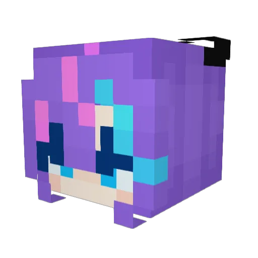 RaynDBU Minecraft avatar head, 3D render