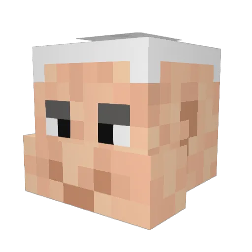RaynE98 Minecraft avatar head, 3D render
