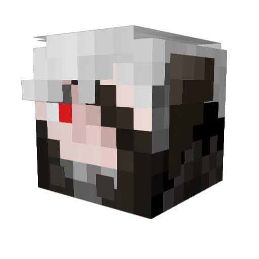 RaynGraves Minecraft avatar head, 3D render