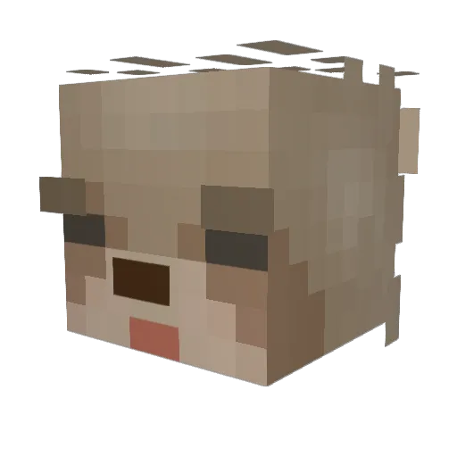 Rayne1127 Minecraft avatar head, 3D render