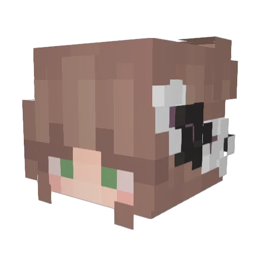 Rayne83 Minecraft avatar head, 3D render