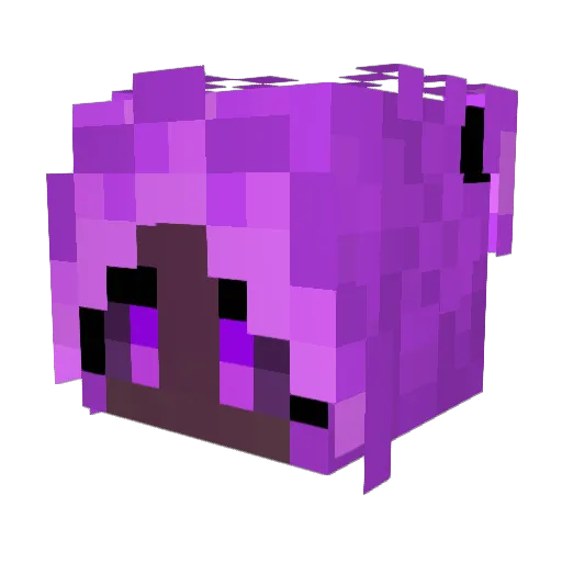 RayneEndwalker Minecraft avatar head, 3D render