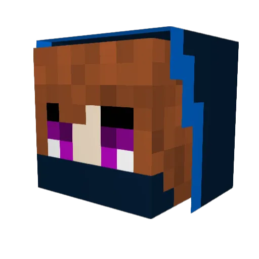 RayneNyx Minecraft avatar head, 3D render