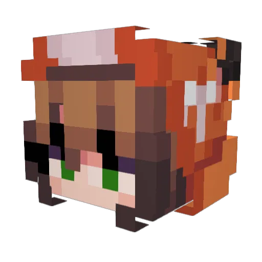 RayneStorm811 Minecraft avatar head, 3D render