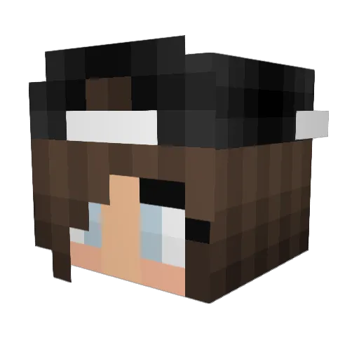 RayneTheReaper Minecraft avatar head, 3D render