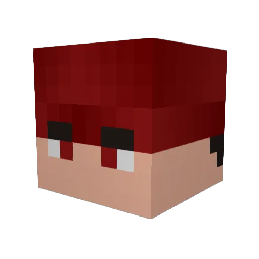 RayneWooney Minecraft avatar head, 3D render