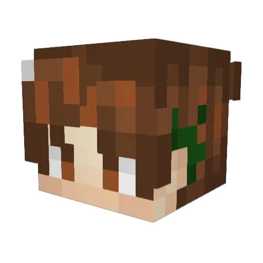Rayne_ng Minecraft avatar head, 3D render