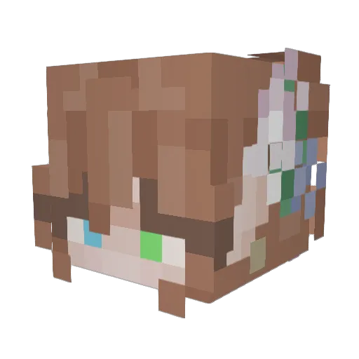 Raynebow8219 Minecraft avatar head, 3D render