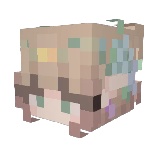 RaynebowGirls Minecraft avatar head, 3D render